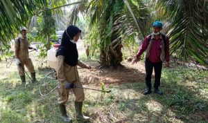 WhatsApp Image 2021-05-21 at 19.48.36