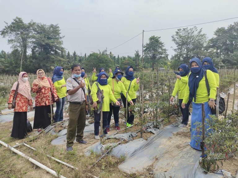 Kunjungi Agroeduwisata UPT Pendidikan Kementan, DWP Dinas Pertanian ...