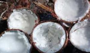 Resize_20220831_111226_6447