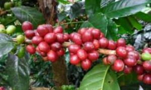 Resize_20220831_112905_5480