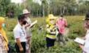 Resize_20221004_095818_8187