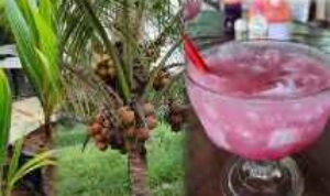 Resize_20221116_175605_5928