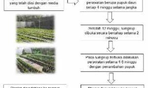 Resize_20221116_190831_1623