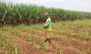 Resize_20221121_165520_0066