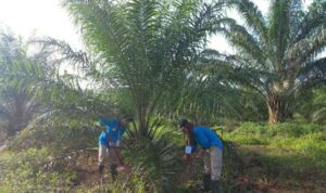 Resize_20230313_210132_2432