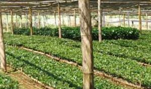 Resize_20230314_121327_7545