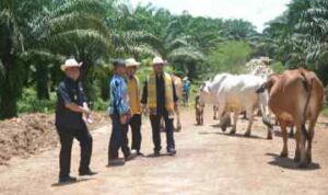 Resize_20230318_164340_0394