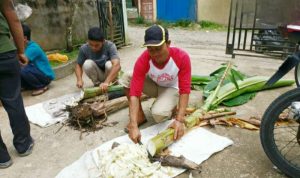 Resize_20230512_131720_0369