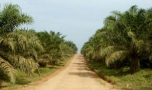 Resize_20230525_131554_4295