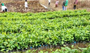 Resize_20231016_165808_8222