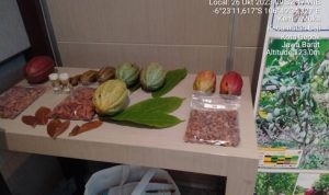 Resize_20231106_205846_6620