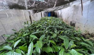 Resize_20231106_205855_5731