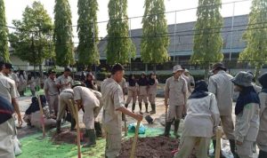 Resize_20231208_170255_5010