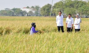 Resize_20240215_151519_9002