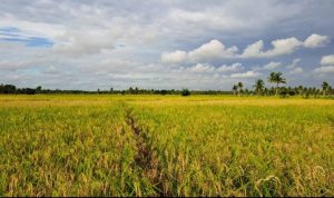 Resize_20240225_172210_0927