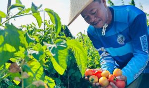 Resize_20250830_211039_9676