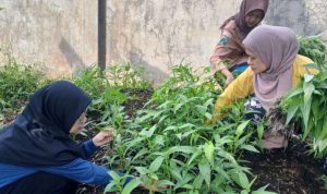 Resize_20250830_212502_2226