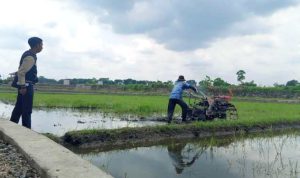 Resize_20251109_094434_4133