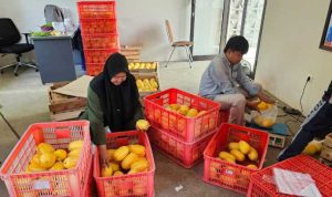 Resize_20251113_200323_3326