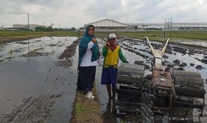 Resize_20251114_184658_8871