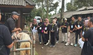 Resize_20251129_131903_3923