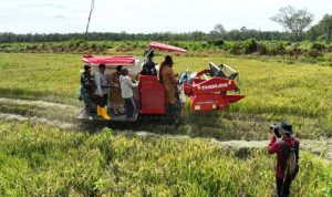 Resize_20260128_142114_4250