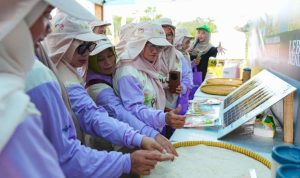 Resize_20260224_044232_2289